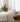 MooMee Sheet Set - MooMee
